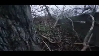 In der Natur, alte Erde