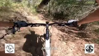 Senda Javalins - XXX Marxa BTT Cabanes