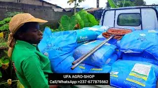 UFA AGRO-SHOP CAMEROON, BEST FISH FARMING BUSINESS IN CAMEROON