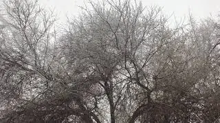 Snow in Provo, Utah. 4K video.