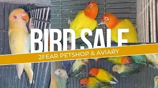 EP 49: BIRD SALE | 2 FEAR PETSHOP & AVIARY