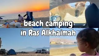 beach camping in Ras Al Khaimah UAE | things to do in Ras Al Khaimah