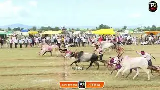 श्री सिद्धनाथ केसरी वडगाव (ज स्वा) गट क्रमांक-66