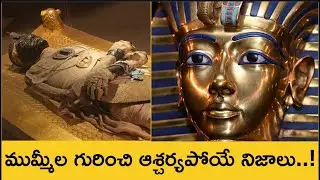 Mummification Explained Telugu | How Mummies Are Made | Mummification Process in Ancient Egypt #fact