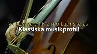 Malm&ouml; latinskola: Klassisk musikprofil