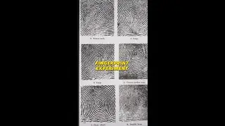 👍 EASY FINGERPRINT SCIENCE EXPERIMENT 👍 #shorts LABble