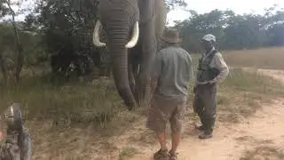 Self-drive in Zimbabwe