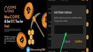 HOW TO ADD YOURS PERSONAL WALLET ADDRESS to CORE MINING APPLICATION