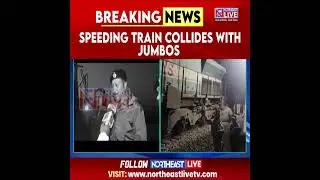 В Нагаоне, штат Ассам, семь слонов погибли после того, как поезд Rajdhani Express, следовавший в ...