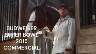 BUDWEISER SUPER BOWL 2015 COMMERCIAL