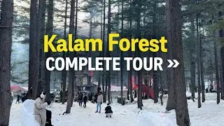 Kalam Forest &ndash; The Hidden Paradise of Swat 🌲❄️