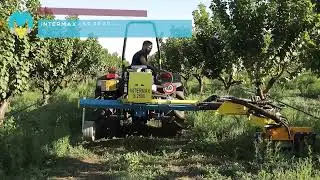 INTERMAX SC | Fresino interfilare a singolo braccio senza coltivatore centrale | Maggio SRL