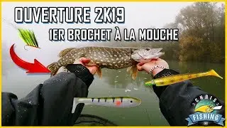 OUVERTURE BROCHET 2019 - Et premier Brochet &agrave; la mouche