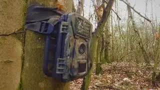 Trail-cam Retrieval: 28th October 2018