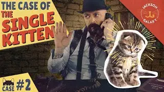 Single Kitten Syndrome is a Thing