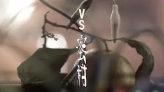 VS 蜜柑