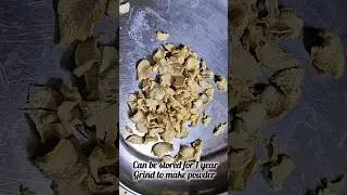 Easily make dry ginger at home