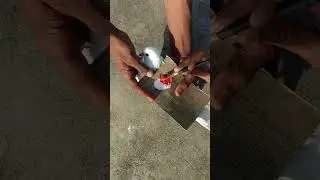 Kabutar के back par Dil ❤️ बनाया 🤩🤗 || kabutar love status #shorts #video #viral #kabootar