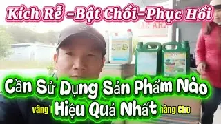 Phân bón lá 30 10 10 + te dạng nước tốt và hiệu quả nhất hiện nay 