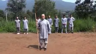 Shaolin Kung Fu - Nan Gun