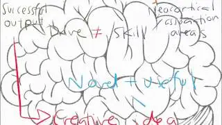 Is Creativity a Skill or a Drive?