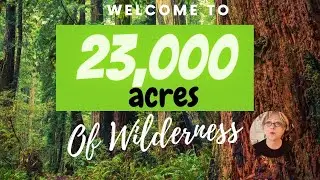 Sleepy Creek Wildlife Management Area