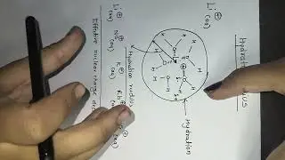To study hydrated radius and ionic mobility.