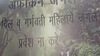 African jungle at fun city bareilly