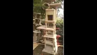 HUGE CAT CONDO WITH CAT STAIRS...