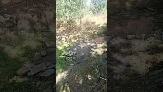 bajanpara karimati ka seen hai #news  santosh singh parsd hrami