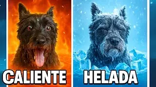 AGUAS EXTREMAS de 10&ordm; a 70&ordm;! 😱 &iquest;Ser&aacute; capaz Lana de ba&ntilde;arse? 🐶