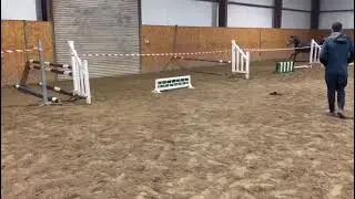 Frank Howley Cavan sales 22 August video 2
