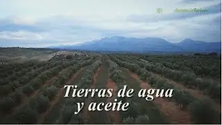 Tierras de agua y aceite, Iznalloz, Deifontes y Píñar, Granada