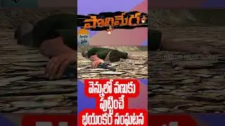 📍PART 11 : Poleramma - Real Horror Story in Telugu | Telugu Stories | Telugu Kathalu