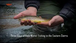 Winter Fishing in the Eastern Sierra
