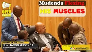 Advocate Jacob Mudenda flexing his muscles during various National Assembly proceedings
