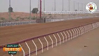 ميــدان الذيد - ش 12 الحول والزمول 25/01/2026  المسك لـ محمد عبدالله بن شميل الكتبي.  :13:35:90