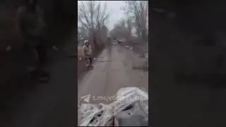 The 
