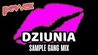 DZIUNIA 😎 (SAMPLE GANG MIX)