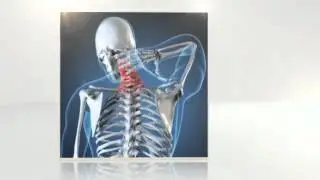 chiropractor american fork utah