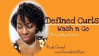 Wash and Go NATURAL HAIR⎜3C 4A Defined Curls