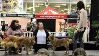 Pet Readings with Pet Psychic Angel Morgan