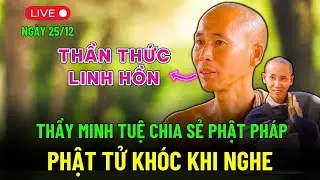 Linh Hồn - Thần Thức Có Phải Là Một? Sư Minh Tuệ Giải Thích Rõ Ràng Về Cõi Âm Và Sự Tái Sinh