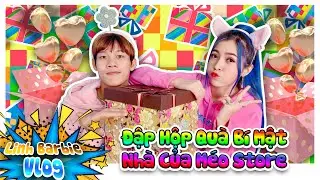 Đập Hộp Quà Bí Mật Từ Nhà Của Méo Store I Linh Barbie Vlog