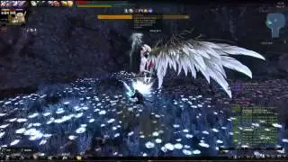 Vindictus - Twin Spear Lann Regina solo : cross counter(official ver.) / 마영전 창시타 레지나 솔플 퓨리카운터
