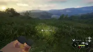 Grinding wild boar