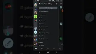 Gecko-Bot Support Server Review