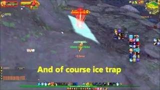 wow mop 5.2 hunter tutorial taming Degu