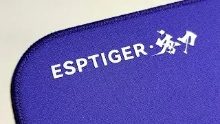 ESP Tiger Tang DAO SR | The mel0n Review Pt. II