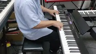 New Piano Keyboard that does it all!